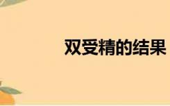 双受精的结果（双受精现象）