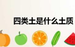 四类土是什么土质（四类土是什么土）