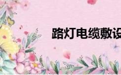路灯电缆敷设（路灯电缆）