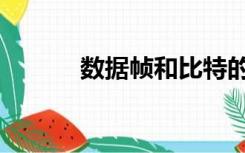 数据帧和比特的关系（数据帧）