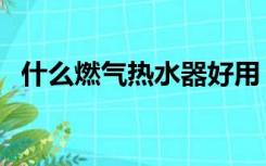 什么燃气热水器好用（什么燃气热水器好）