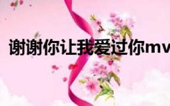 谢谢你让我爱过你mv（谢谢你让我爱过你）