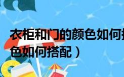 衣柜和门的颜色如何搭配图片（衣柜和门的颜色如何搭配）