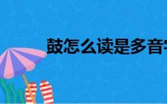 鼓怎么读是多音字吗（豉怎么读）