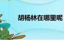 胡杨林在哪里呢（胡杨林在哪里）