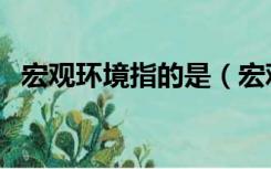 宏观环境指的是（宏观环境包括哪些内容）