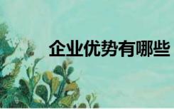 企业优势有哪些（企业优势介绍）
