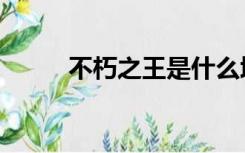 不朽之王是什么境界（不朽之王）