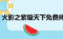 火影之紫璇天下免费阅读（火影之紫璇天下）