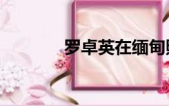 罗卓英在缅甸照片（罗卓英）