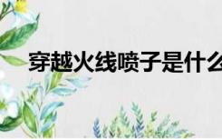 穿越火线喷子是什么枪（喷子是什么枪）