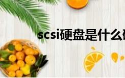 scsi硬盘是什么硬盘（scsi硬盘）