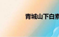 青城山下白素贞（青城山）