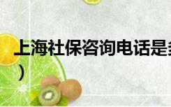 上海社保咨询电话是多少（上海社保咨询电话）