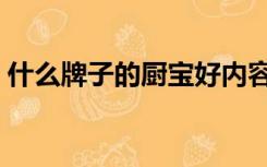 什么牌子的厨宝好内容（什么牌子的厨宝好）