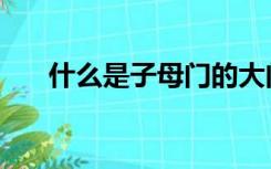 什么是子母门的大门（什么是子母门）