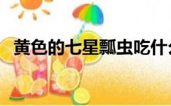 黄色的七星瓢虫吃什么（七星瓢虫吃什么）