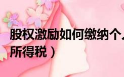 股权激励如何缴纳个人所得税（如何缴纳个人所得税）