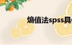 熵值法spss具体步骤（熵值）