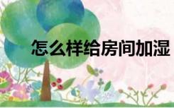 怎么样给房间加湿（怎么给房间加湿）