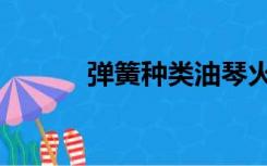 弹簧种类油琴火线（弹簧种类）