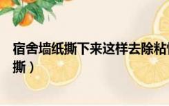 宿舍墙纸撕下来这样去除粘性（宿舍桌子上的自粘墙纸怎么撕）