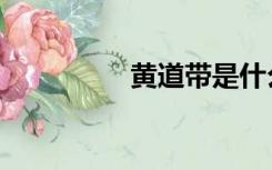 黄道带是什么（黄带子）