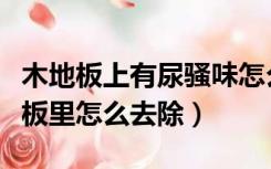 木地板上有尿骚味怎么处理（尿骚味渗到木地板里怎么去除）