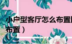 小户型客厅怎么布置比较好（小户型客厅怎么布置）