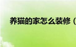 养猫的家怎么装修（养猫家里怎么装修）