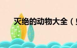 灭绝的动物大全（史前灭绝动物大全）