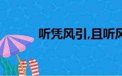听凭风引,且听风吟（且听且吟）