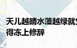 天儿越晴水藻越绿就凭这些绿的精神水也不忍得冻上修辞
