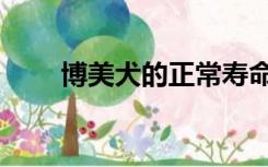 博美犬的正常寿命（博美犬的寿命）