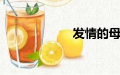 发情的母猪和大嫂