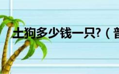 土狗多少钱一只?（普通土狗多少钱一只）