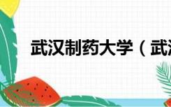 武汉制药大学（武汉大学药学院官网）