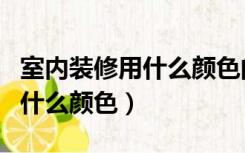 室内装修用什么颜色的门好看（家里装修门用什么颜色）