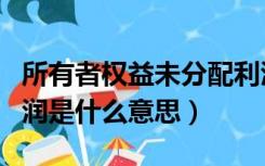所有者权益未分配利润是什么意思（未分配利润是什么意思）