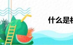 什么是杠杆原理