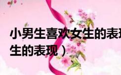 小男生喜欢女生的表现有哪些（小男生喜欢女生的表现）