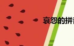 哀怨的拼音（哀怨）