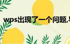 wps出现了一个问题,导致程序停止正常工作