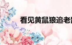 看见黄鼠狼追老鼠（看见黄鼠狼）