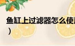 鱼缸上过滤器怎么使用（鱼缸过滤器怎么使用）