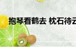 抱琴看鹤去 枕石待云归什么意思（抱琴）
