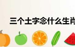 三个土字念什么生肖（三个土字念什么）