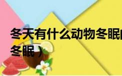 冬天有什么动物冬眠的现象（冬天有什么动物冬眠）