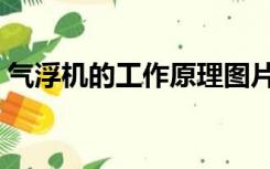 气浮机的工作原理图片（气浮机的工作原理）