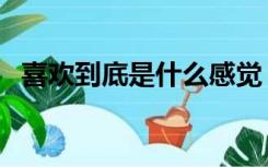 喜欢到底是什么感觉（什么是喜欢的感觉）